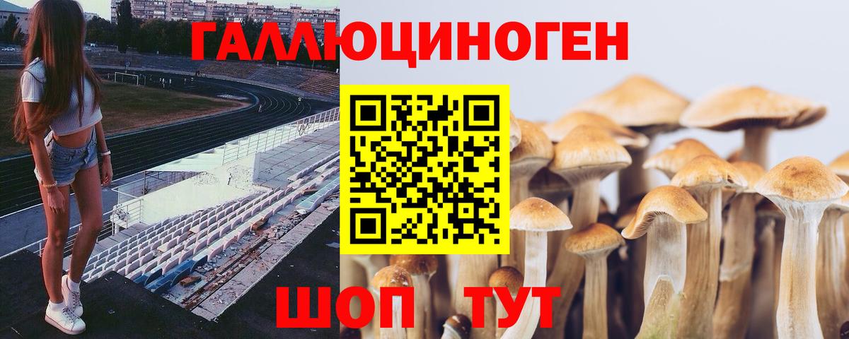 Галлюциногенные грибы мухоморы  Псилоцибиновые грибы мицелий  Вход с VPN  Кашира 